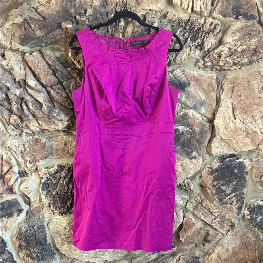The Limited Fuchsia Mini Dress